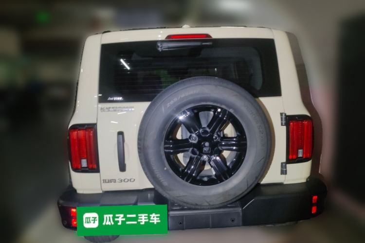 Used Tank 300 2025 2.4T Diesel Version