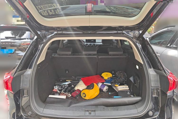 Used Wey VV6 2021 2.0T Two-Wheel Drive Smart Plus