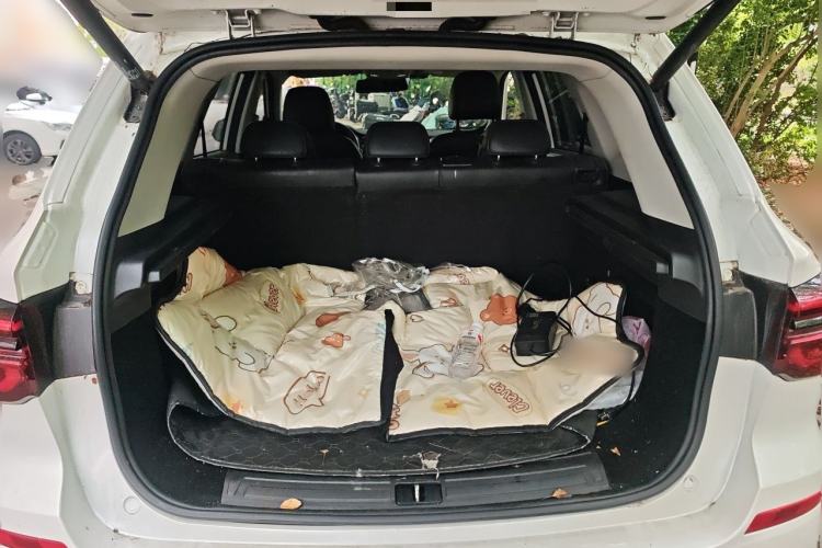 Used Roewe RX5 New Energy 2020 ePLUS National Trend Ronglin Luxury Edition
