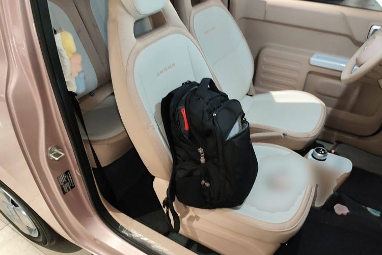 Used Geely Auto Panda 2023 Panda Mini 200km Endurance Bear Right Front Seat