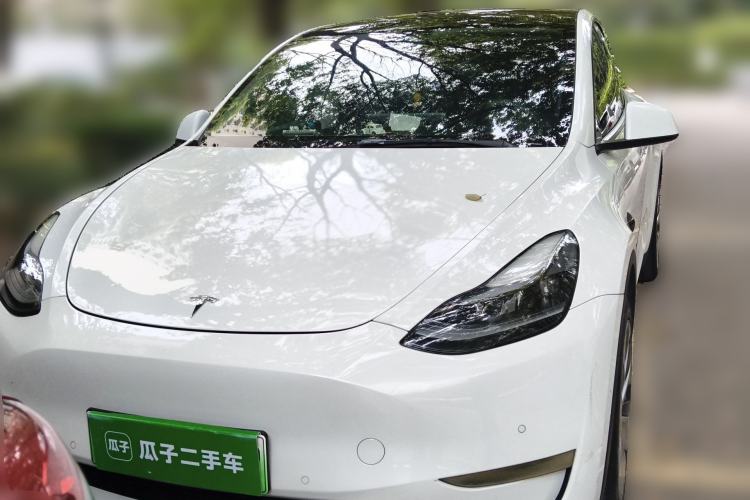 Used Tesla Model Y 2021 Standard Range Rear-Wheel Drive Version
