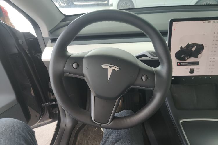 Used Tesla Model Y 2021 Long-Range All-Wheel-Drive Version 3D7