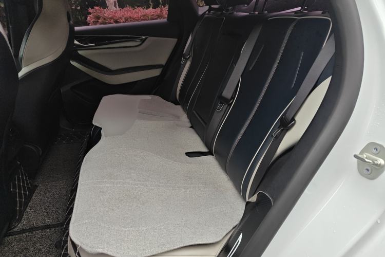 Used BYD Qin PLUS 2021 DM-i 55KM Flagship Model Left Rear Seat