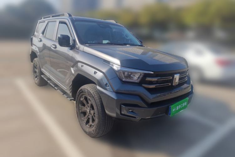 Used Tank 400 2025 2.0T Gasoline Version