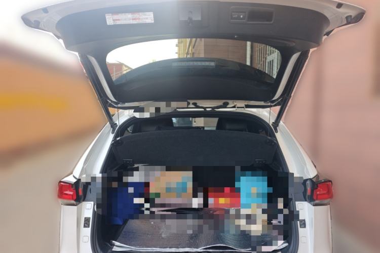 Used Lexus NX 2017 300h All-Wheel Drive F SPORT Trunk