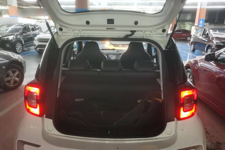 Used SOL E10X 2022 Flower Fairy Design Four-Leaf Clover