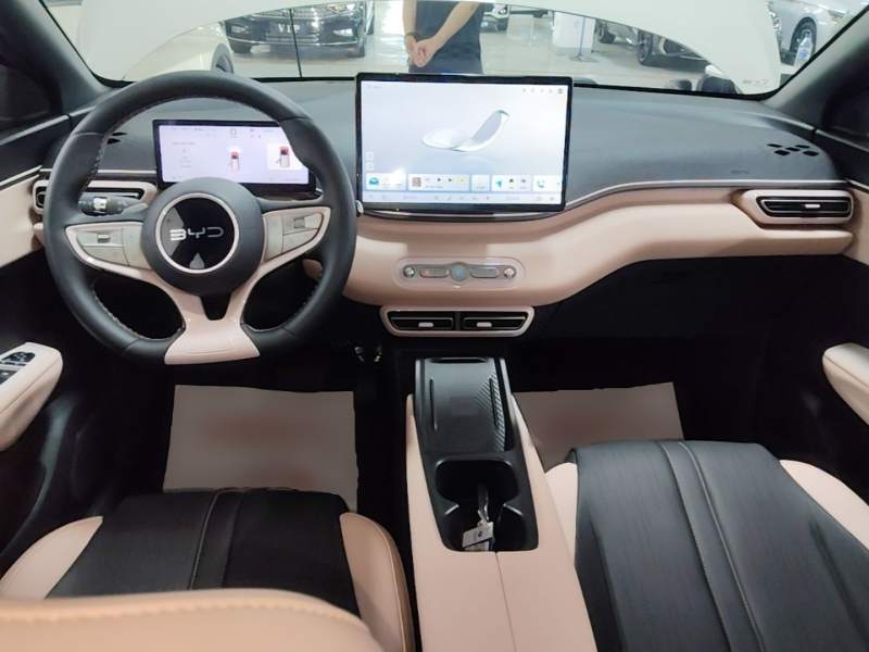 Used BYD Seagull 2025 Smart Drive Version 305 km Freedom Edition — 9