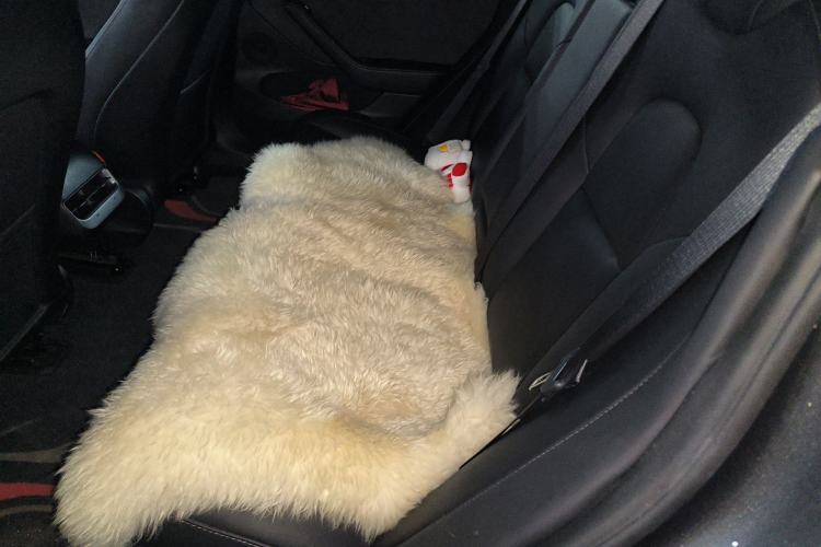 Used Tesla Model 3 2022 Rear-Wheel-Drive Version Left Rear Seat