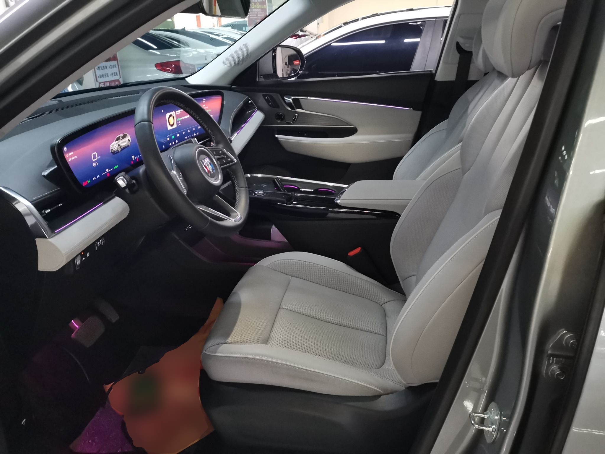 Interior delantero