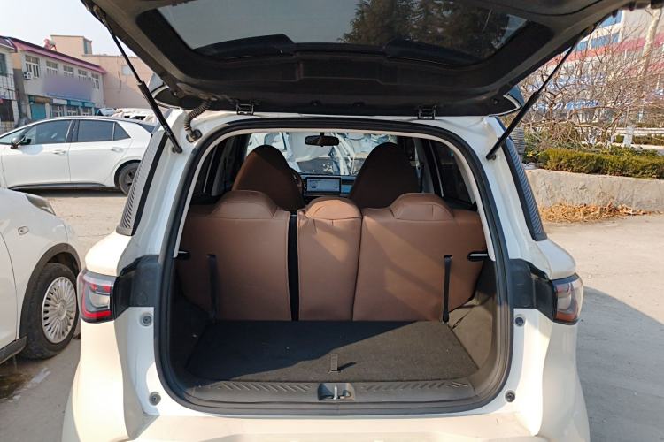 Used Cowin October 2025 Mate 300km Surfing Edition