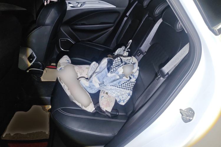 Used Geometry C 2020 Selected Range Edition 550 KM C++ Left Rear Seat