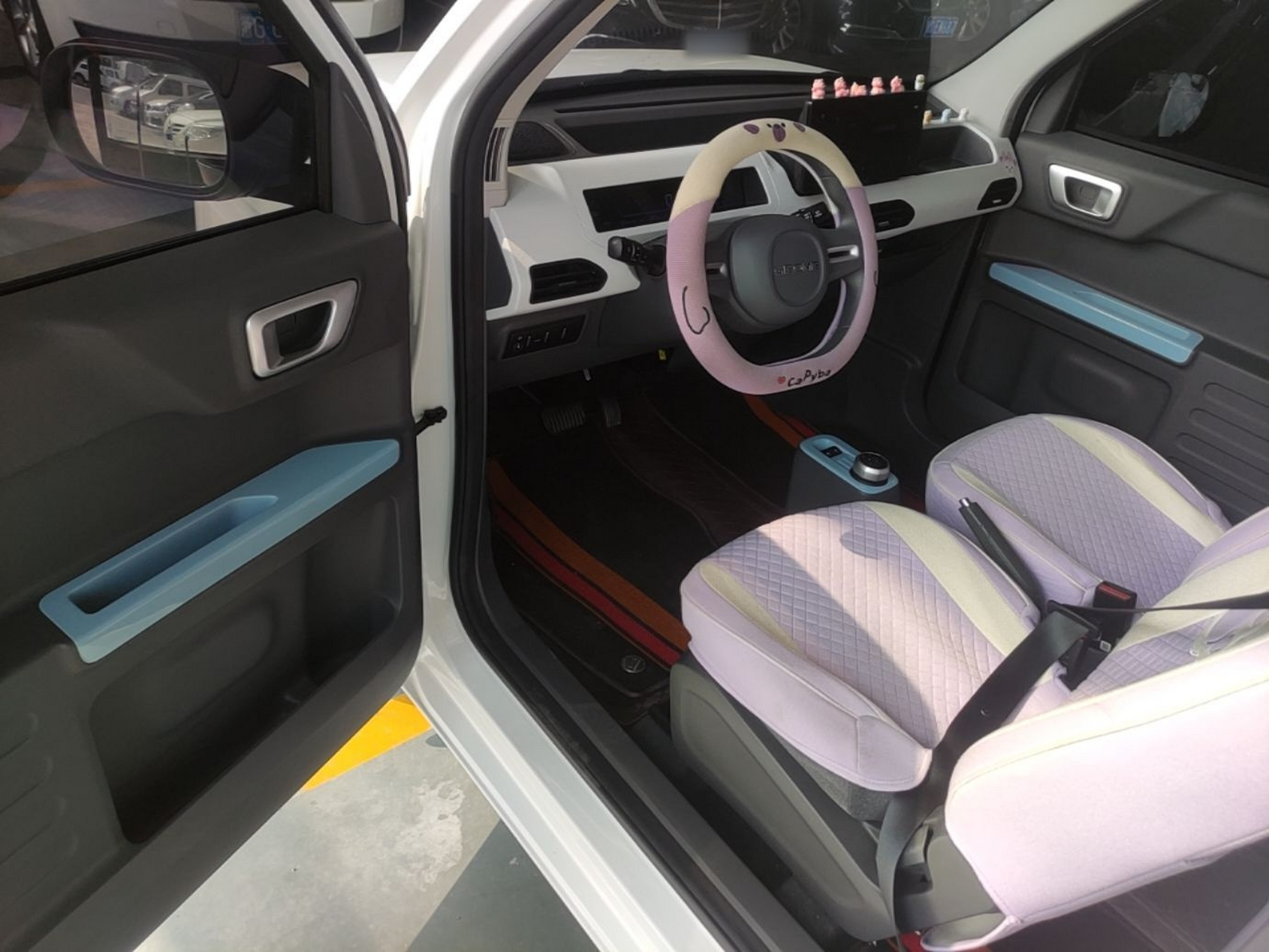 Interior delantero