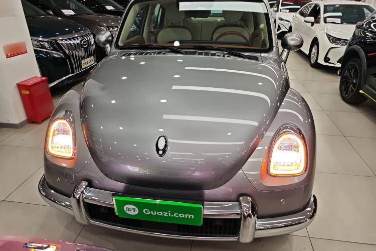 Used ORA Ballet Cat 2023 401 km Luxury Version