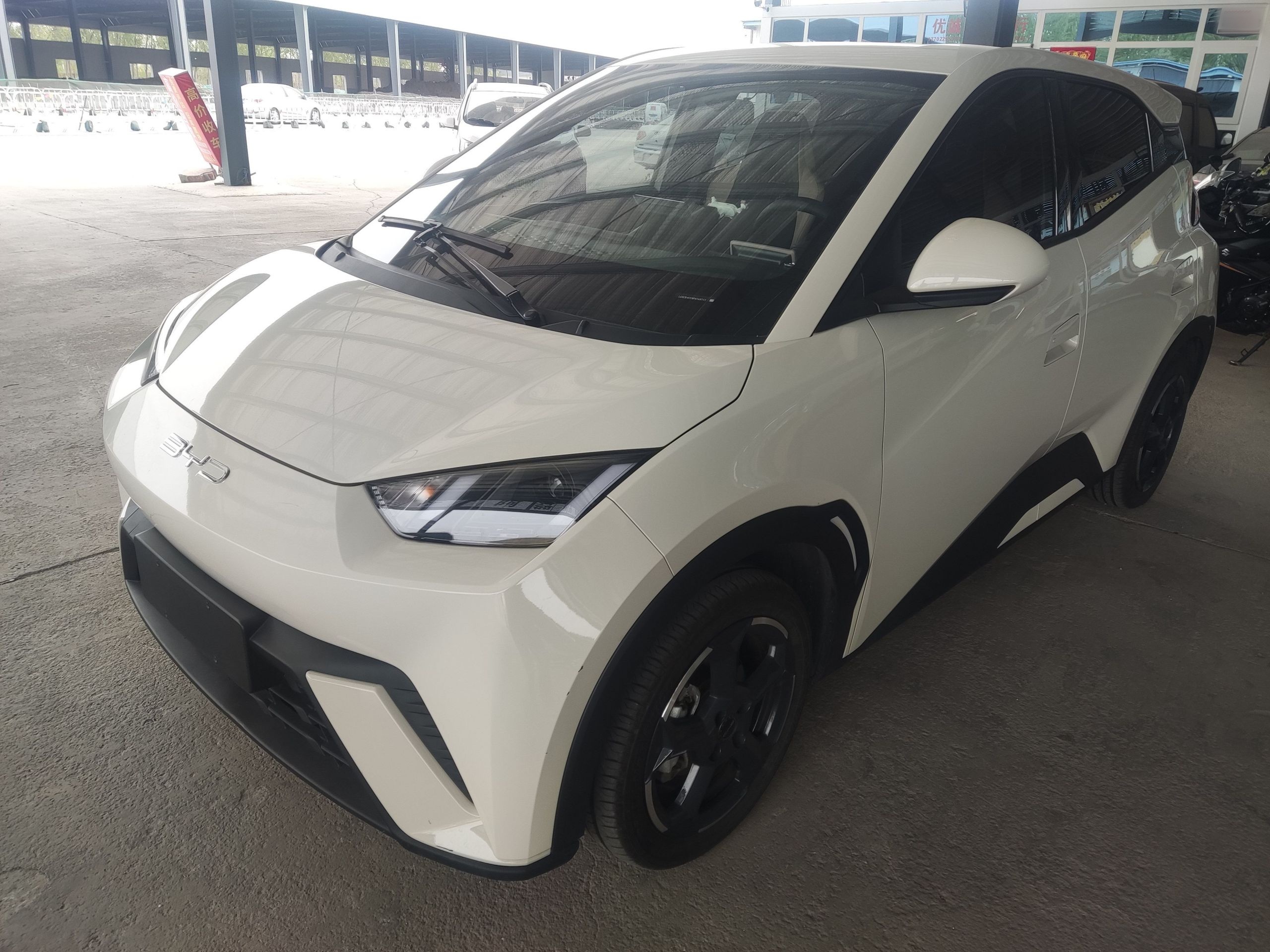 Parte inferior delantera