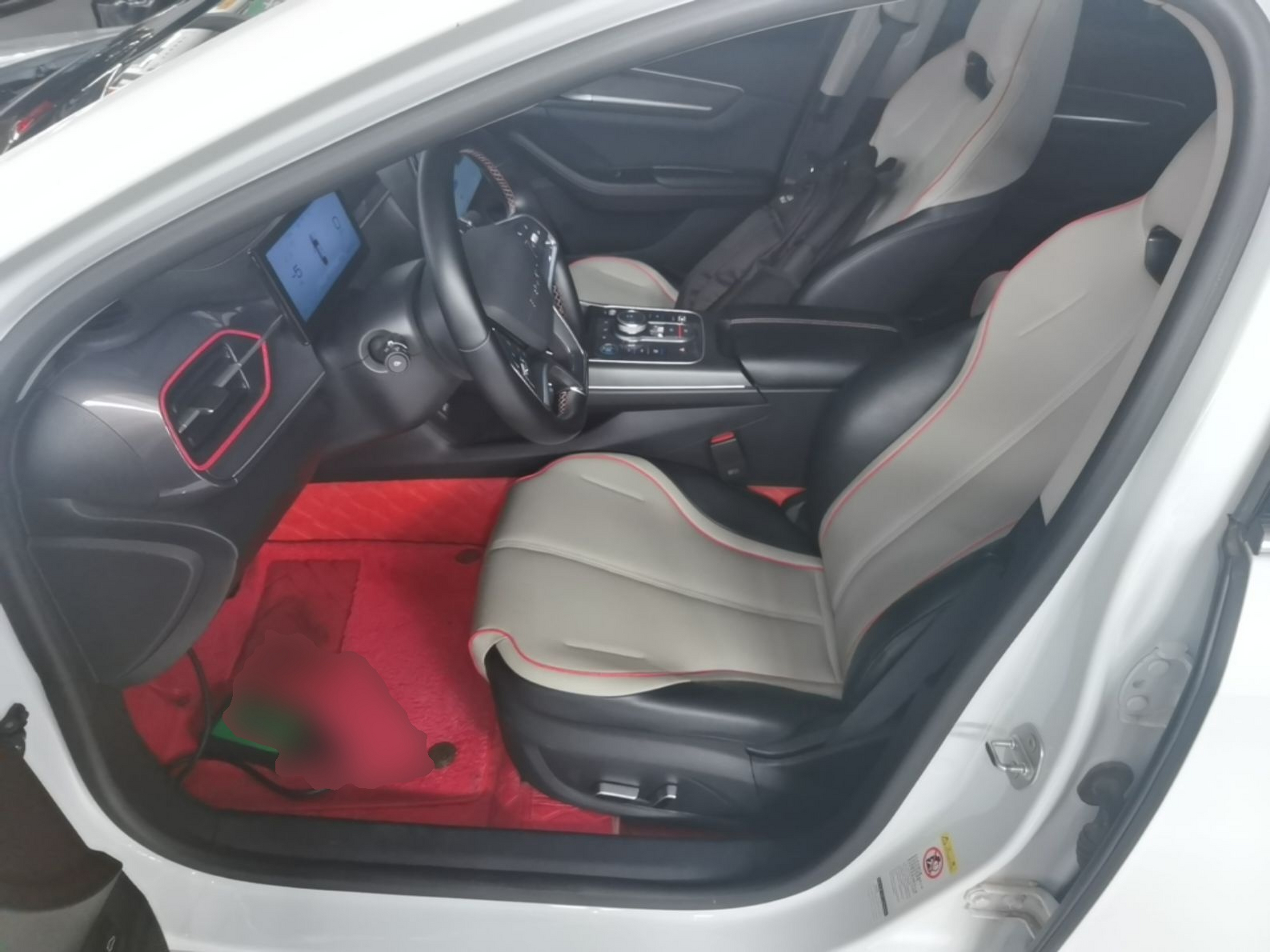 Interior delantero