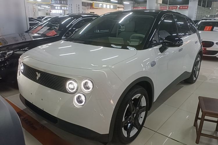 Used firefly 2025 Illuminated Edition