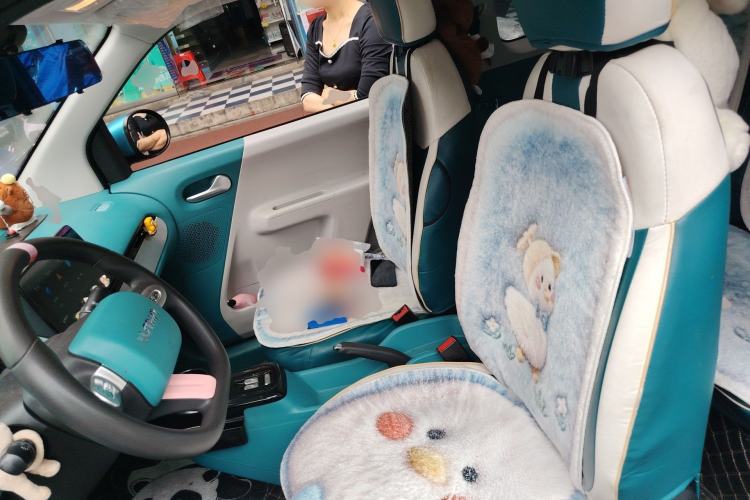 Used CHANGAN NEVO Lumin 2022 210km Sweet Edition Left Front Seat