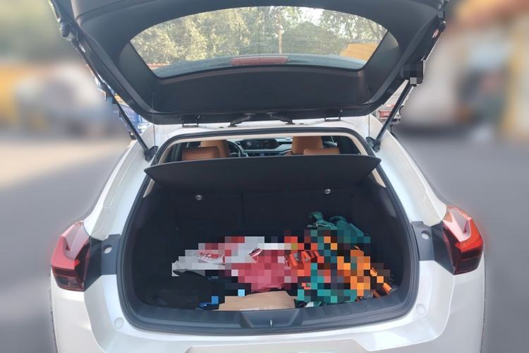 Used Lexus UX New Energy 2020 300e Pure·Joy Edition