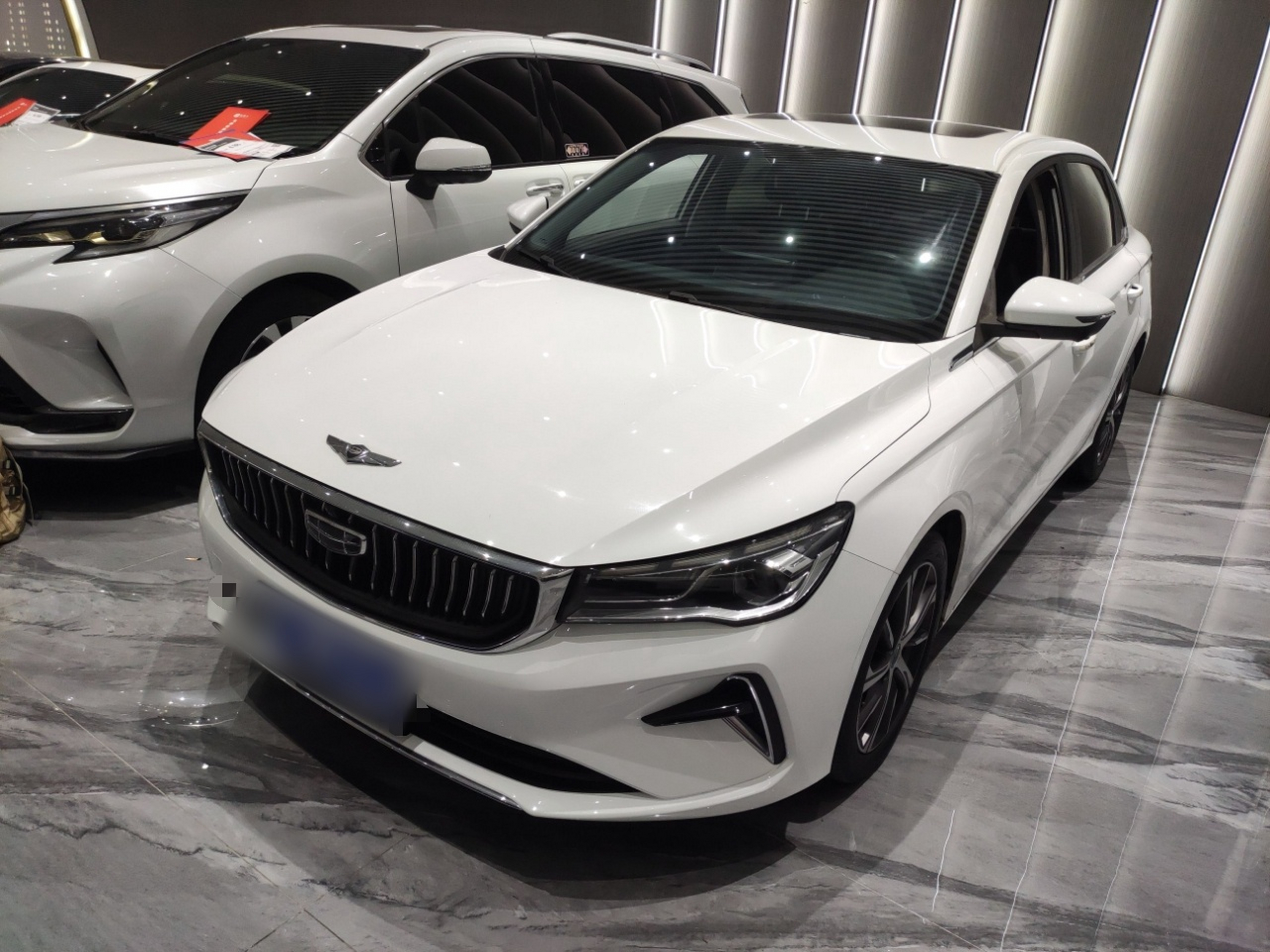 Parte inferior delantera