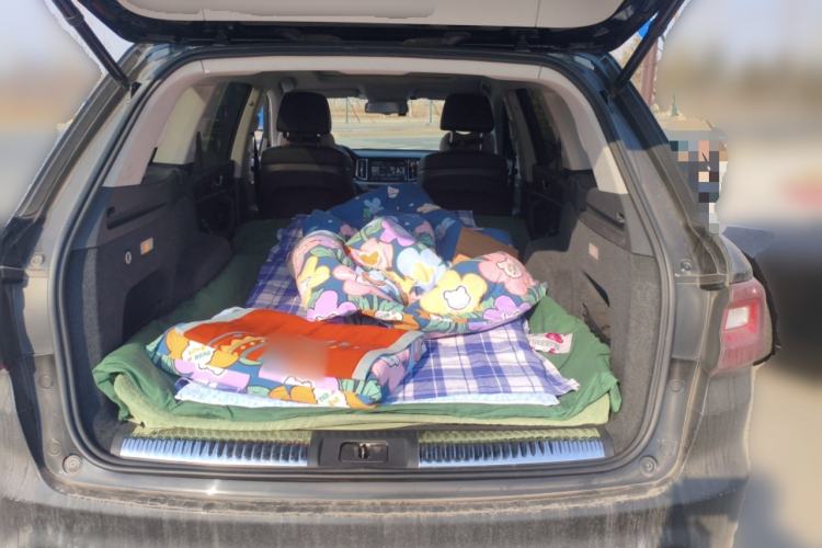 Used Hongqi HS7 2021 2.0T DCT Two-Wheel Drive Smart Connect Flagship Edition
