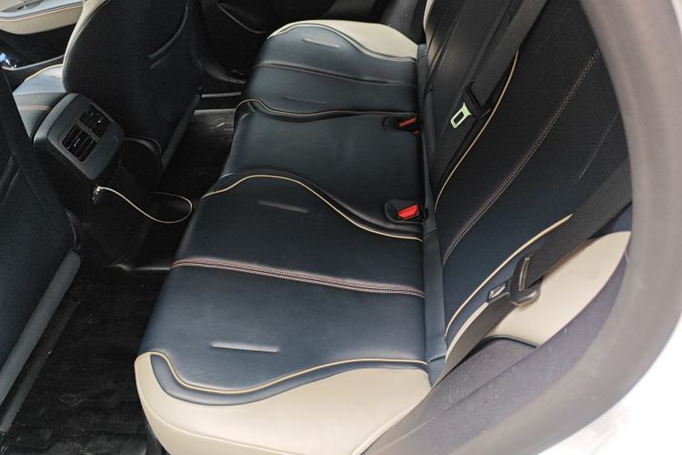 Used BYD Qin PLUS 2021 DM-i 120KM Prestige Model Left Rear Seat