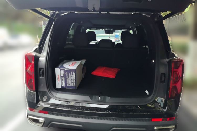 Used GAC Trumpchi GS8 2025 Linghang Series 2.0 TGDI Four-Wheel-Drive Luxury Edition 5 Seats
