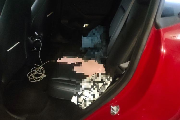 Used Tesla Model Y 2021 Long-Range All-Wheel-Drive Version