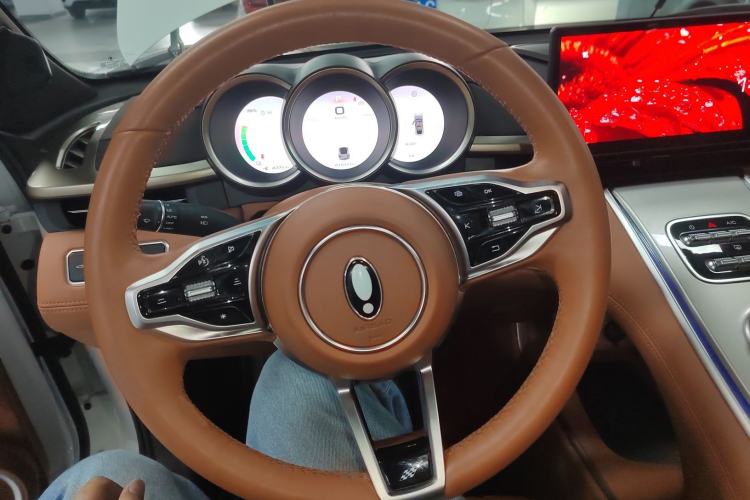 Used ORA Lightning Cat 2022 555 km Luxury Edition Steering Wheel