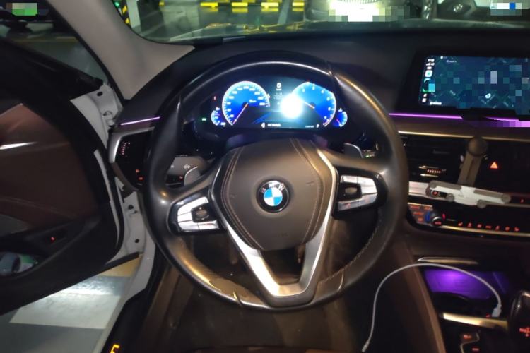 Used BMW 5 Series 2019 530Li Leading Model Luxury Package