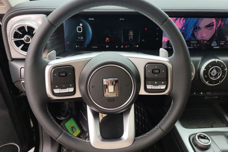 Used Tank 300 2024 2.0T Conqueror
