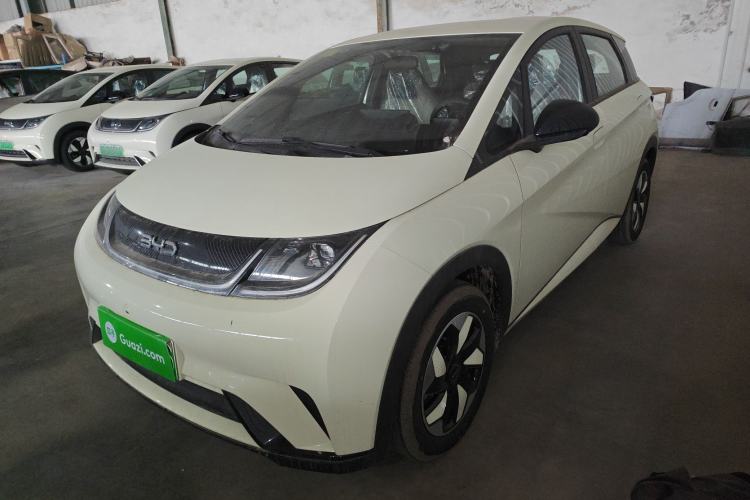 Used BYD Dolphin 2025 420km Free Edition
