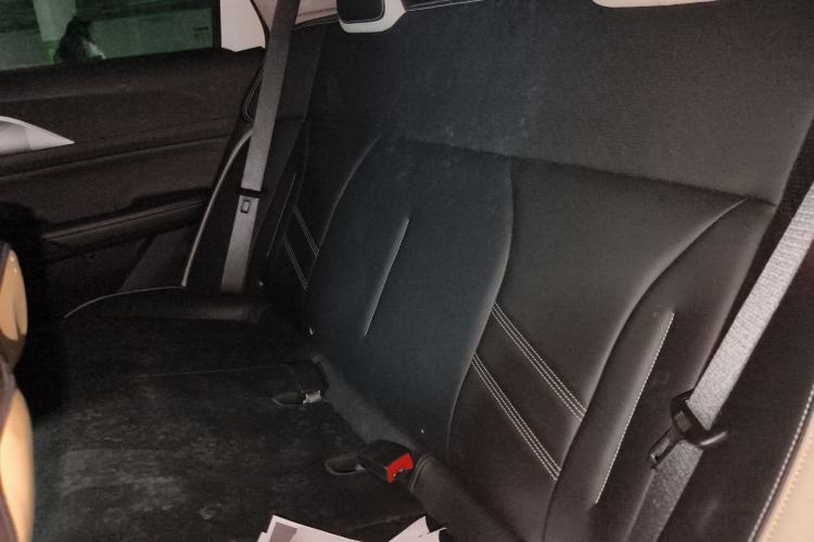 Used Geometry E Firefly 2022 401 km Linglong Tiger 4 Seats Left Rear Seat