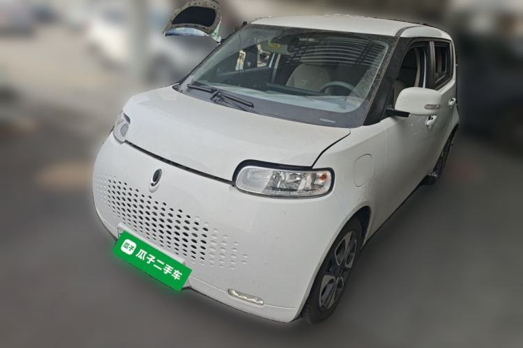 Used ORA White Cat 2020 305 km Luxury Version