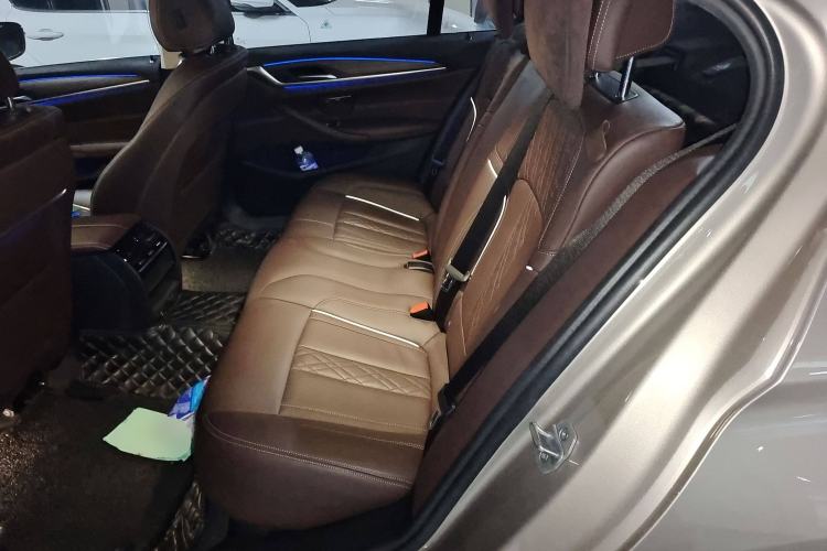 Used BMW 5 Series New Energy 2019 530Le Luxury Package