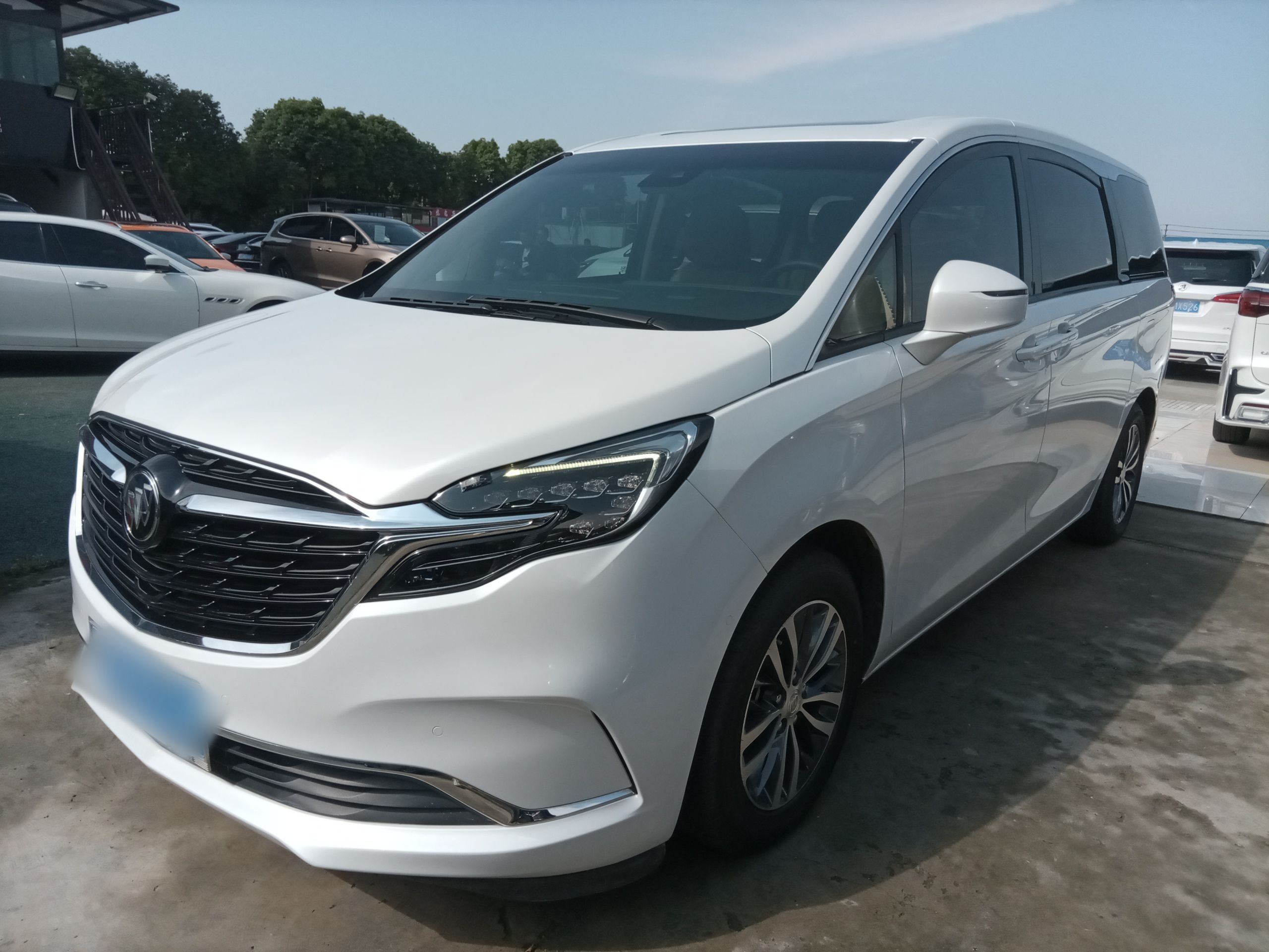 Parte inferior delantera