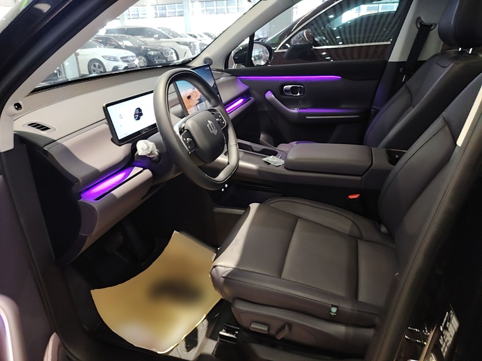 Interior delantero