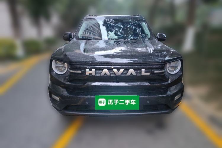 Used Haval H Dog 2026 Model 2.0T Trendy Wilderness Edition