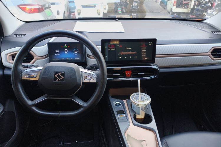 Used SOL E10X 2022 Flower Fairy Design Four-Leaf Clover