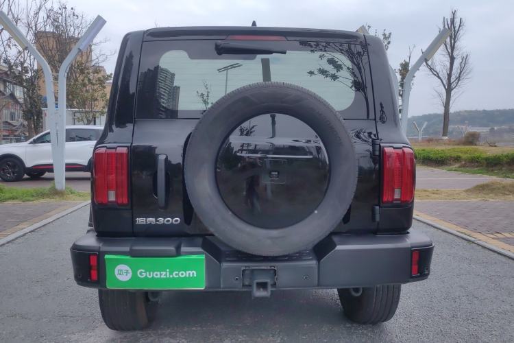 Used Tank 300 2024 2.0T Conqueror
