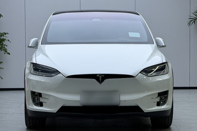 Used Tesla Model X 2020 Long-Range Upgrade Version
