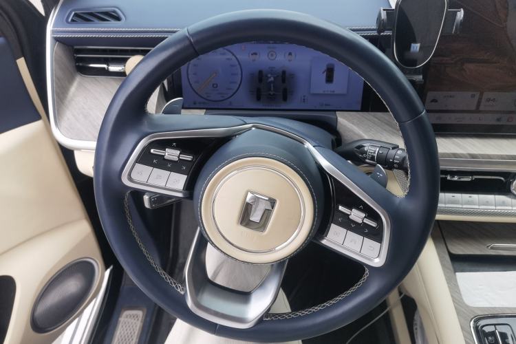 Used Tank 500 New Energy 2024 Hi4-T
