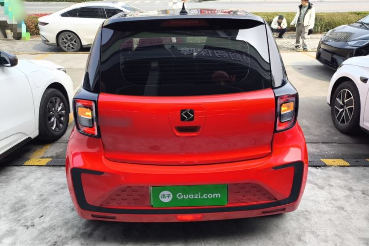 Used SOL E10X 2022 Flower Fairy Design Four-Leaf Clover