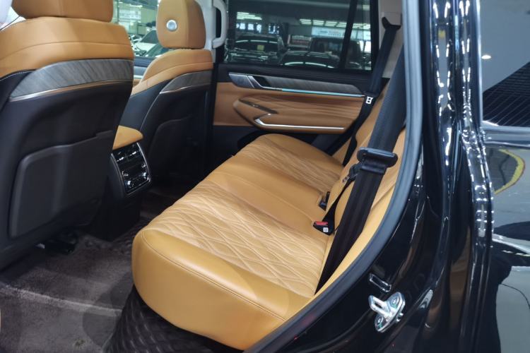 Used Tank 500 New Energy 2023 Hi4-T Left Rear Seat