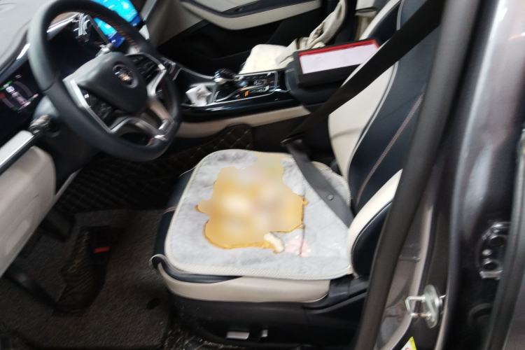 Used BYD Qin PLUS 2021 EV 400KM Luxury Model Left Front Seat