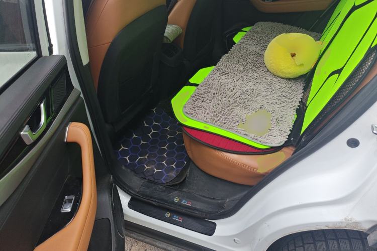 Used WM Motor W6 2021 520km PRO All-Round Edition
