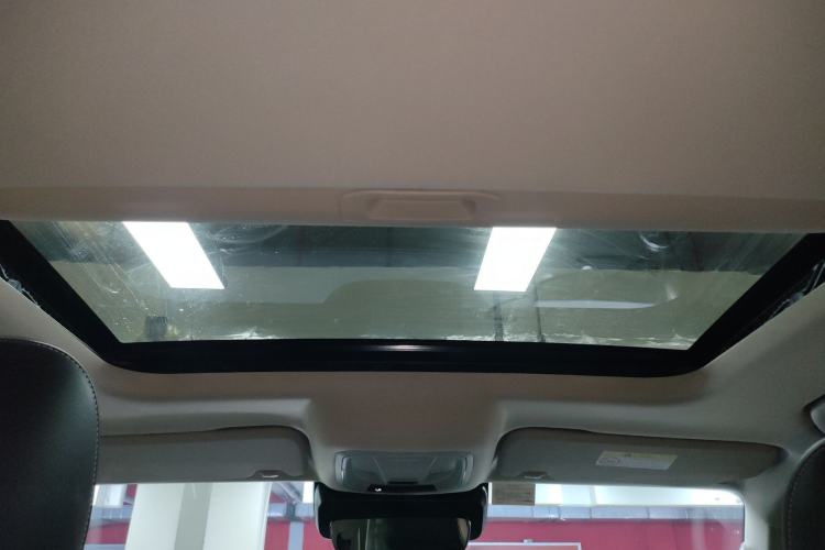 Used Tank 300 2024 2.0T Conqueror