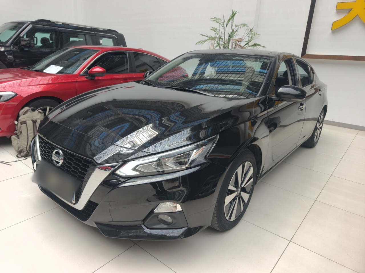 تحت مقدمة السيارة