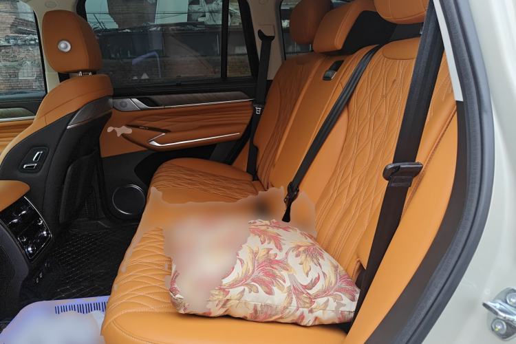 Used Tank 500 2022 3.0T High-End Custom Edition 5 Seats