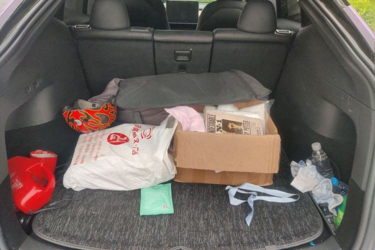 Used Tesla Model Y 2021 Standard Range Rear-Wheel Drive Version
