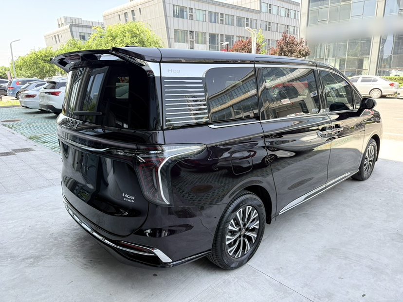 Hongqi HQ9 PHEV 2024 2.0T Four-Wheel Drive Luxury Edition — снимка 15